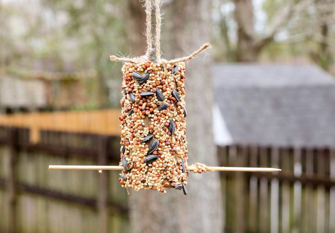 A DIY bird feeder made from a cardboard tube