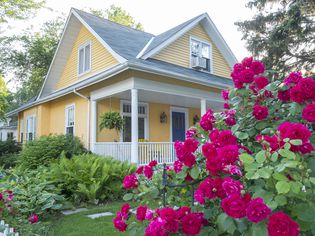 Rose bush in front of yellow house