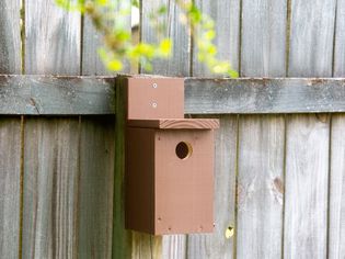 A brown birdhouse mounted on a post.