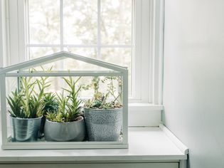 Indoor garden nook