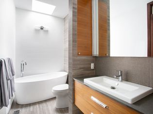 Modern Contemporary style bathroom