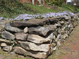 Stone retaining wall with creeping phlox growing on top of it.