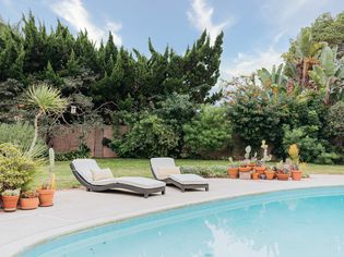 Outdoor pool wit lounge chair in between potted plants